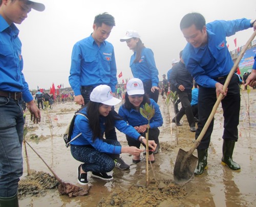 Youth union launches tree-planting movement in Ha Tinh province - ảnh 1
